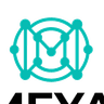 MEYA NEXUS brand mark